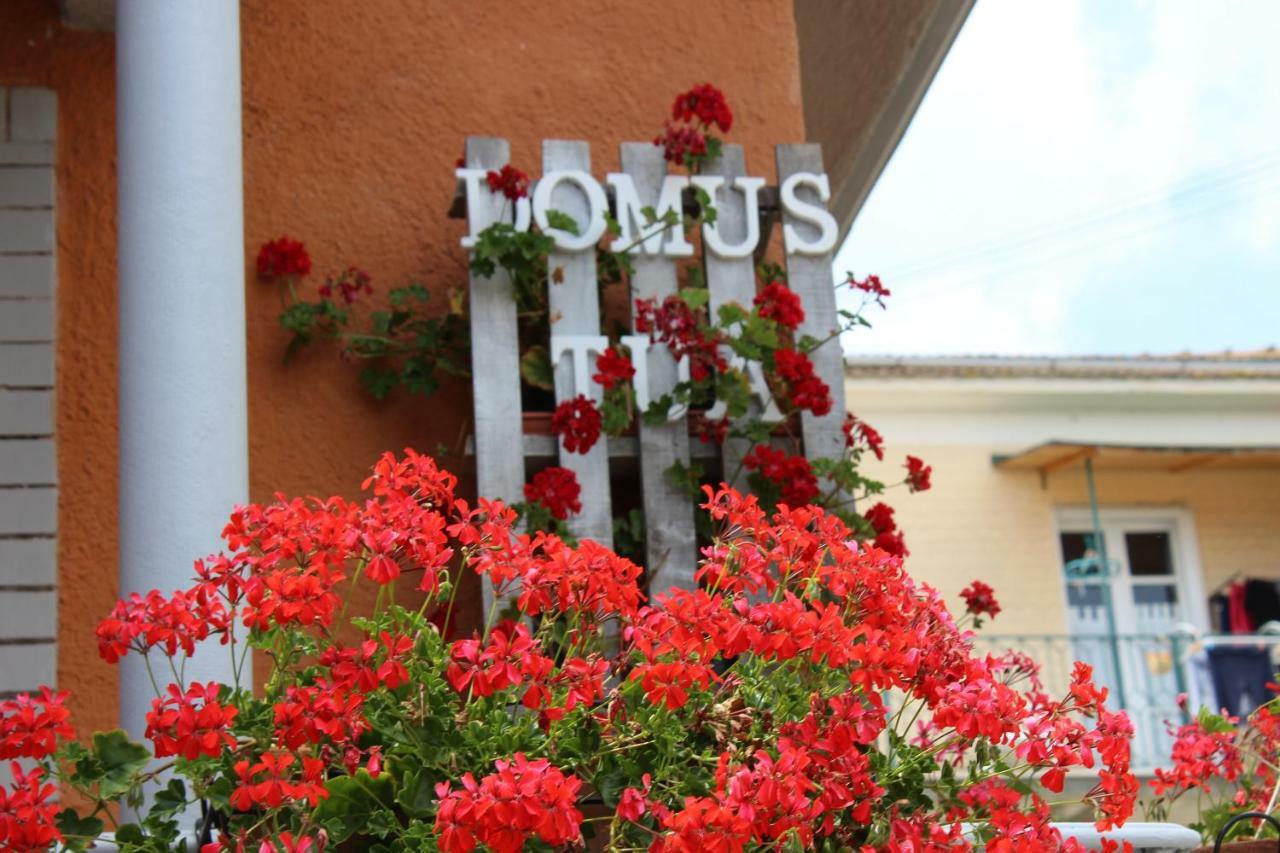 مبيت وإفطار بيترلشينا Domus Tua المظهر الخارجي الصورة